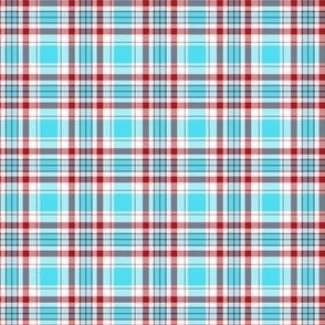 FS Turquoise_ Cherry Red and White Plaid