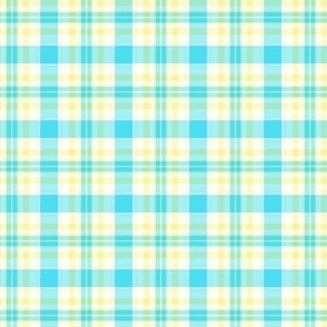 FS Turquoise, Creamy Yellow and White Plaid