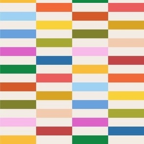Multicolor Rectangle Checks