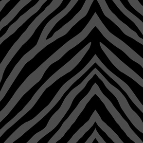 zebra zig-zag_black and gray