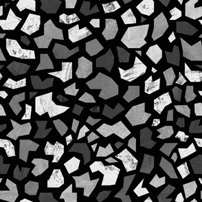 Black and White Terrazzo Texture Fragments