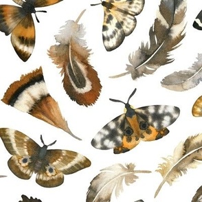 Medium Scale / Feathers and Moths / White Background