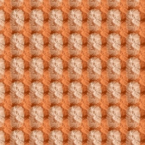 feathery abstract textural weave vibrant peach summer