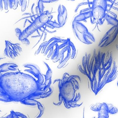 Crustaceans In To The Blue
