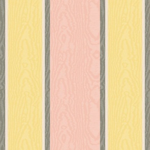 Moire Stripes (Large) - Teacup Rose, Honeybee Yellow, Pristine Off-White and  Antique Pewter Gray   (TBS101)