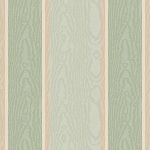 Moire Stripes (Large) - Wind Chime, October Mist Sage Green, Pashmina and Shaker Beige   (TBS101)