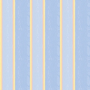 Moire Stripes (Medium) - Summer Blue, Windmill Wings, Wildflowers Yellow and Salmon Peach   (TBS101)