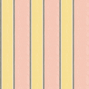 Moire Stripes (Medium) - Teacup Rose, Honeybee Yellow, Pristine Off-White and  Antique Pewter Gray   (TBS101)