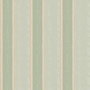 Moire Stripes (Medium) - Wind Chime, October Mist Sage Green, Pashmina and Shaker Beige   (TBS101)