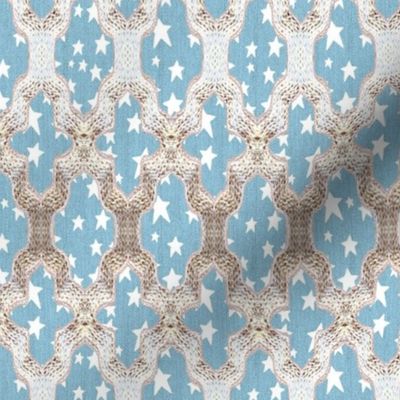 Quatrefoil Stars Silvery Gold Faux Woven on Light Blue