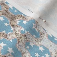 Quatrefoil Stars Silvery Gold Faux Woven on Light Blue