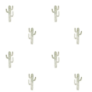 Little Saguaro Cactus