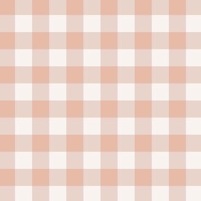 Small Blush Gingham Check with Cream and Beige Neutral Gingham