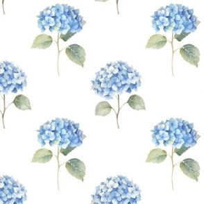 Blue Watercolor Hydrangeas