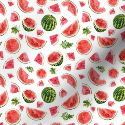 Small / Watermelon Summer Fruit