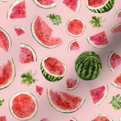 Watermelon Summer Fruit / Pink