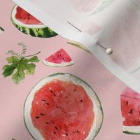 Watermelon Summer Fruit / Pink