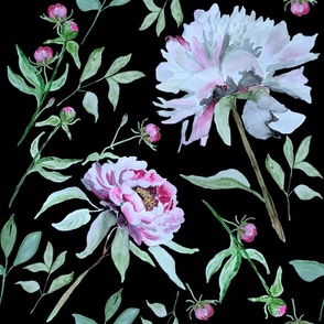 Large Pink and White Peonies on Black / Wallpaper / Watercolor / White flowers