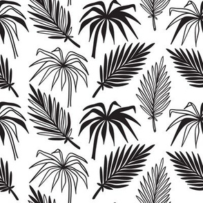 Tropical Palm Tree Leaves 13