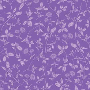 (M) Wild Clover Flowers - Violet Purple