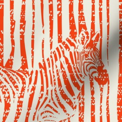 Surreal Zebra Stripes in Sunset Orange on Cream