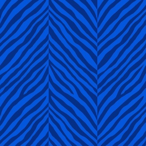 zebra herringbone_royal blue and classic blue