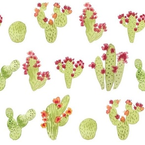 Green Watercolor Flowering Cactus
