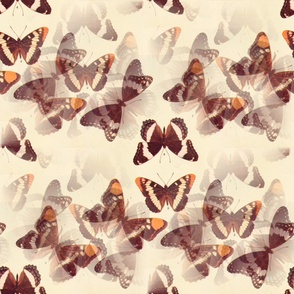 butterflies design