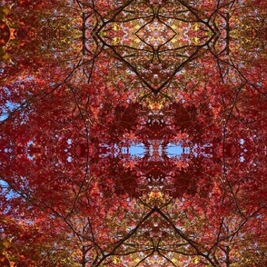 Glorious Scarlet Oak - mirror, multicoloured 