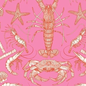 cornwall crustaceans damask cayenne pink