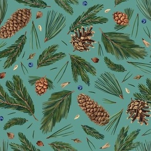 Conifer branches and cones (turquoise)