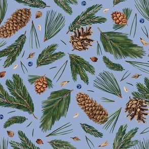 Conifer branches and cones (blue)