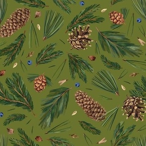 Conifer branches and cones (green)