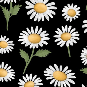 Daisy Meadow On A Black Background ( Large )