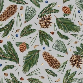 Conifer branches and cones (grey)