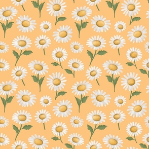 Daisy Meadow On A yellow Background ( Small )