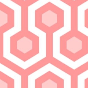 Large Light Pink Hexagons