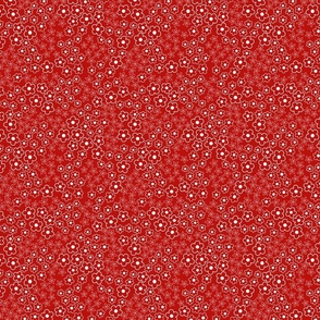 Red and White Blossom Ditsy  - Small Floral Quilting Fabric
