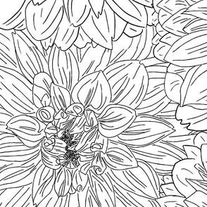 Black and White Dahlia Large Scale 