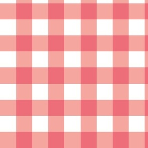 Classic Gingham Check Plaid - Coral Red