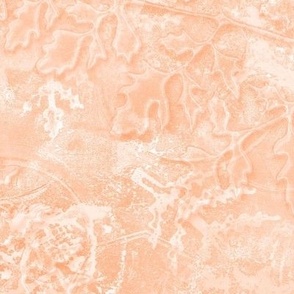 Cut Glass and Ferns Gel Print Textures in Shades of Peach Fuzz