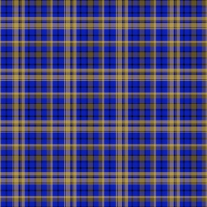 Classic checkered blue, mustard pattern.