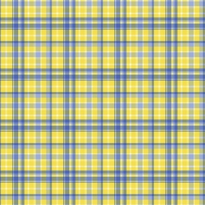Classic checkered yellow, blue pattern.