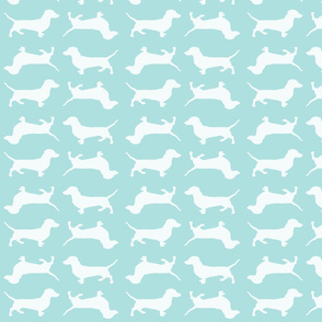 Light Blue Doxies