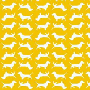 Yellow Doxies