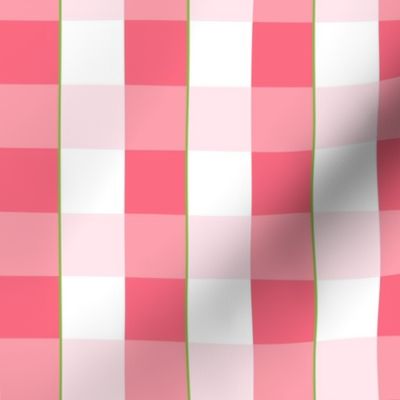 Pink and White Plaid