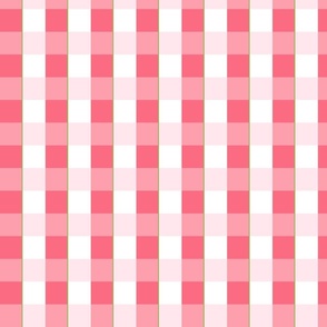 Pink and White Plaid