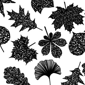 Leaf Lace Leaf Outline Pattern in Black and White
