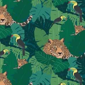 Jaguar in the jungle