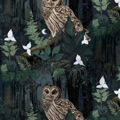 Night owl in the forest floor small 6"